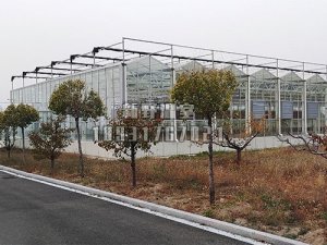 玻璃溫室大棚